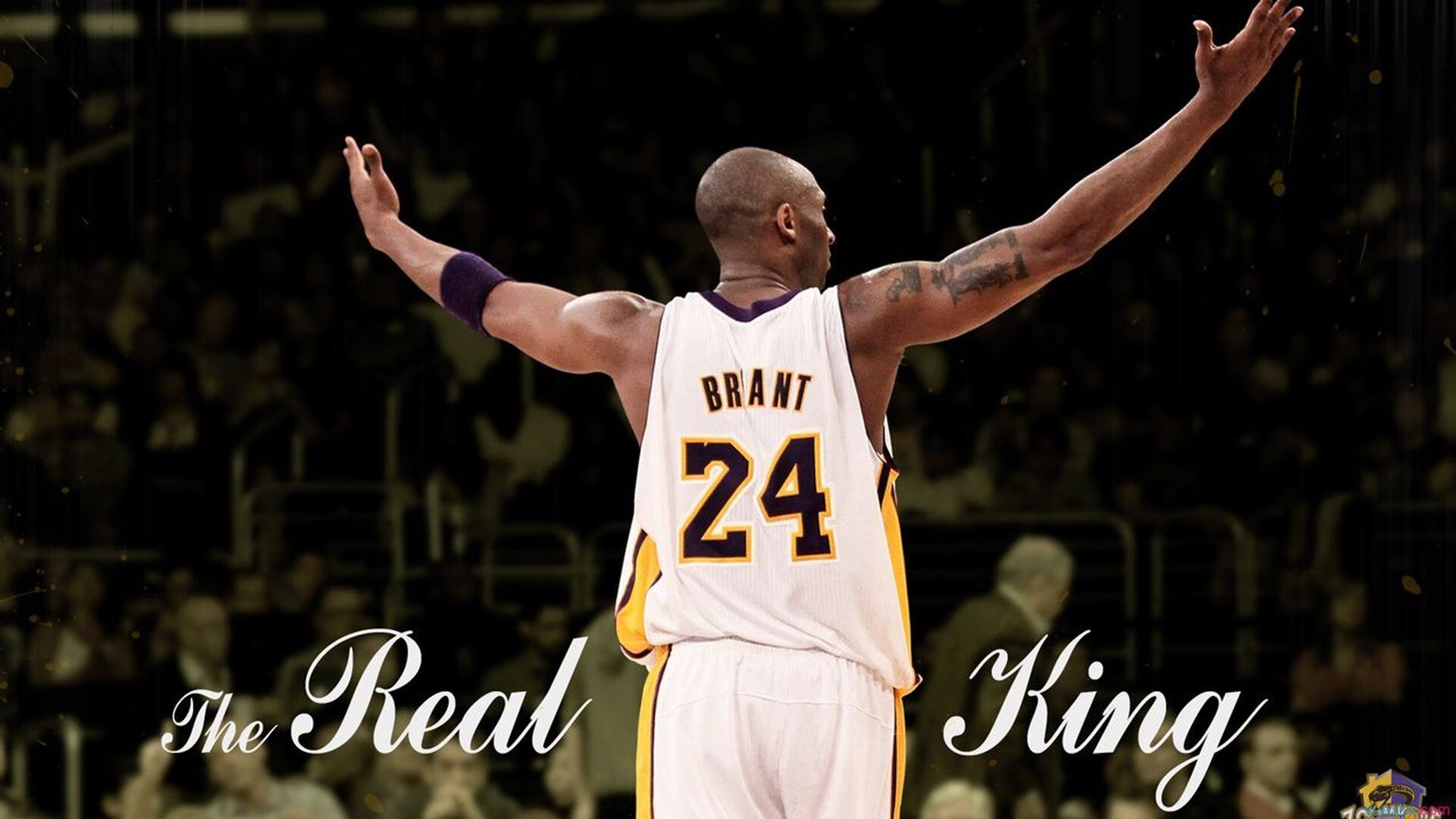 乐鱼官方登录入口-NBA球员训练营成长轨迹,nba训练营2021