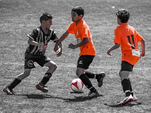 乐鱼体育APP官方下载-NBA球员训练营活动，nba球员训练营活动安排