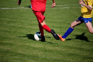 乐鱼（LEYU）体育-NBA球员训练计划优化设计，nba运动员训练计划