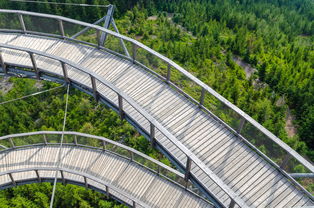 LeyuSports-“飞盘:三叉湖赛场飞扬,速度与技巧成就精彩”