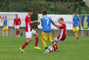 LEYU乐鱼体育官方网站-中国足球联赛赛事安全管理制度严格执行,中国足球职业联赛专项治理工作会议