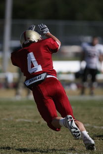 乐鱼官方登录入口-《冠军奥运篇》聚焦林跃：跳水带来的巨大转变，奥运冠军林跃有多优秀