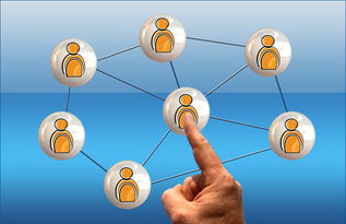 乐鱼娱乐app-世界排名虽高,对战新兴队伍仍需适应,世界新兴国家