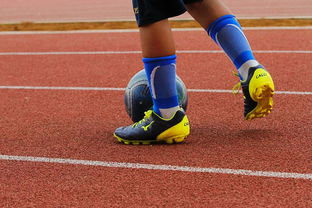 下载乐鱼体育APP-体育新闻中心解读体育政策与趋势，体育新闻发展